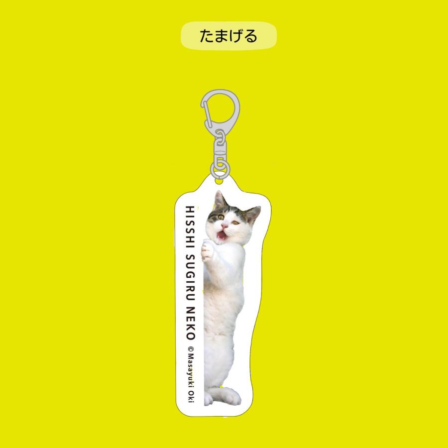 アクリルキーホルダー】『必死すぎるネコ』公式グッズ : Tatsumi Nest