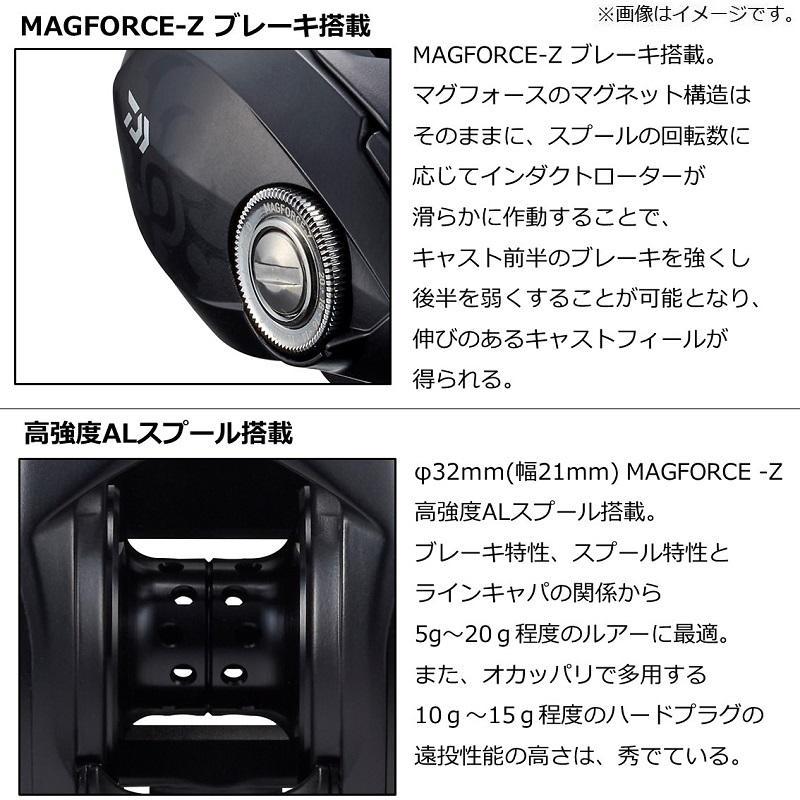 DAIWA（ダイワ） DAIWA TATULA TW 80 タトゥーラ リール ベイトリール