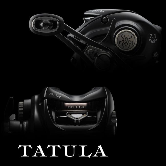 DAIWA（ダイワ） 24 TATULA TW 100L タトゥーラ ベイトリール 左巻き