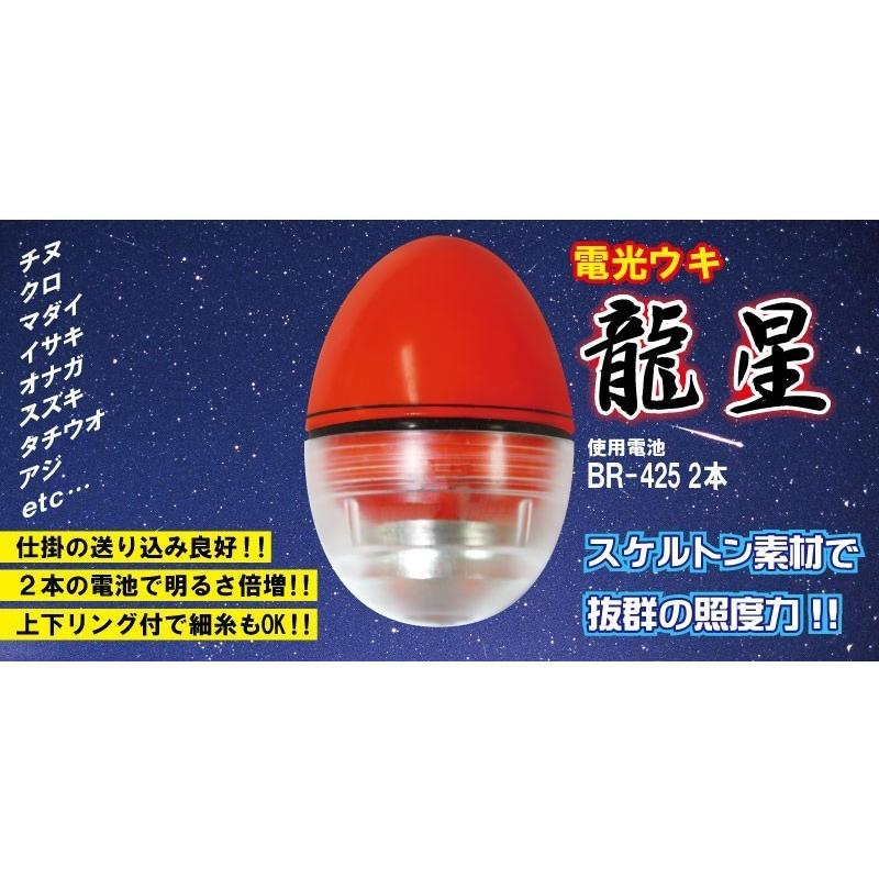 龍星 3.0 電気ウキ 夜釣り ウキ 電池別売り 円錐ウキ : FISHING