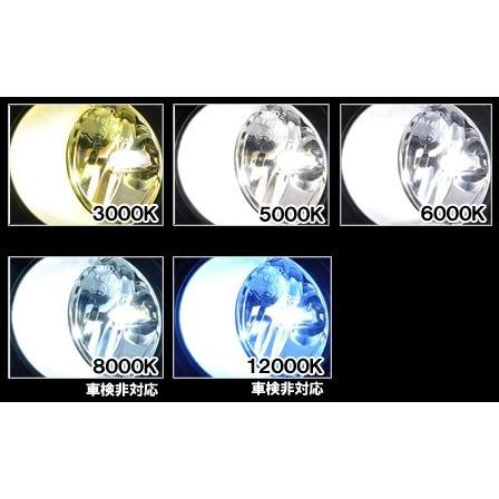 ZERO1000 オールインワンHIDフォグ用タイプ2 H11 ホンダ