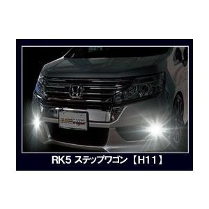 ZERO1000 オールインワンHIDフォグ用タイプ2 H11 ホンダ