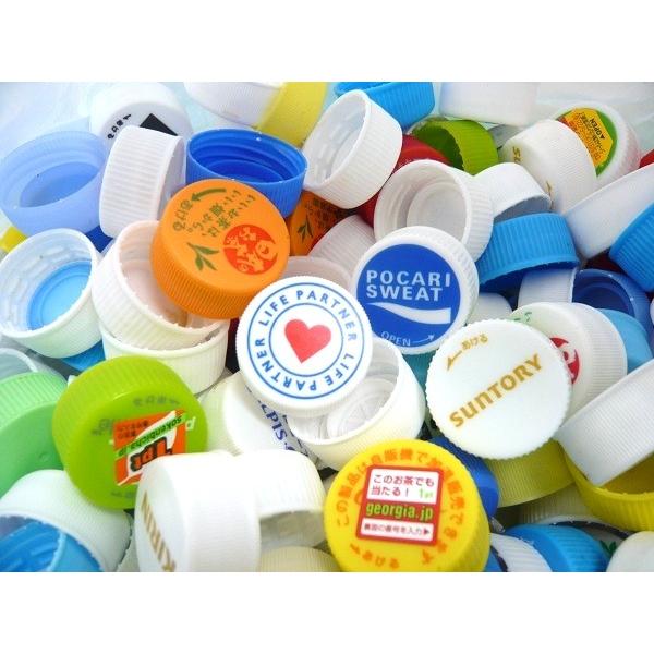 ペットボトルキャップ用ナンバーボルトキャップ 1個入り : TATSUYA