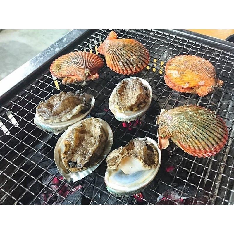 愛媛特産品 産地直送 宇和海産 活アワビ10個 活ヒオウギ貝個 約1 4kg前後 3kg前後セット 0012 Ac たったん総合生活百貨店 通販 Yahoo ショッピング