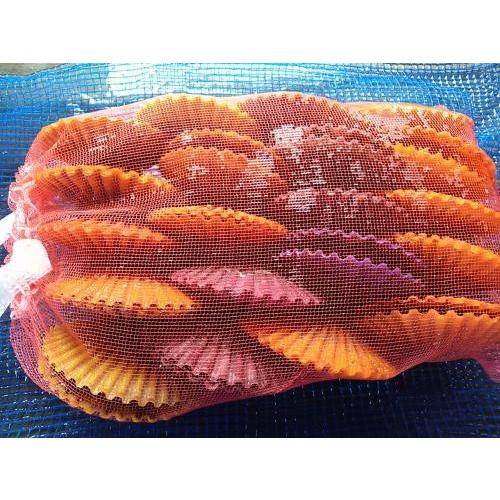 愛媛特産品・産地直送 宇和海産 活ヒオウギ貝（特大サイズ）20個入オリジナルセット 殻長85ミリ〜94ミリ前後 |  | 02