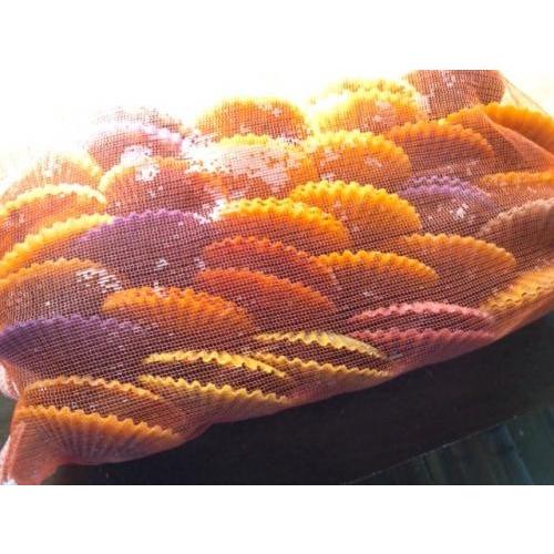 愛媛特産品・産地直送 宇和海産 活ヒオウギ貝（中〜大サイズ）50個入オリジナルセット 殻長70ミリ前後〜84ミリ前後 |  | 02