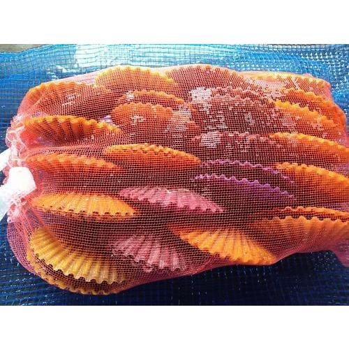 愛媛特産品・産地直送 宇和海産 活ヒオウギ貝（超特大サイズ）10個入オリジナルセット 殻長95ミリ〜100ミリ以上〜 |  | 02