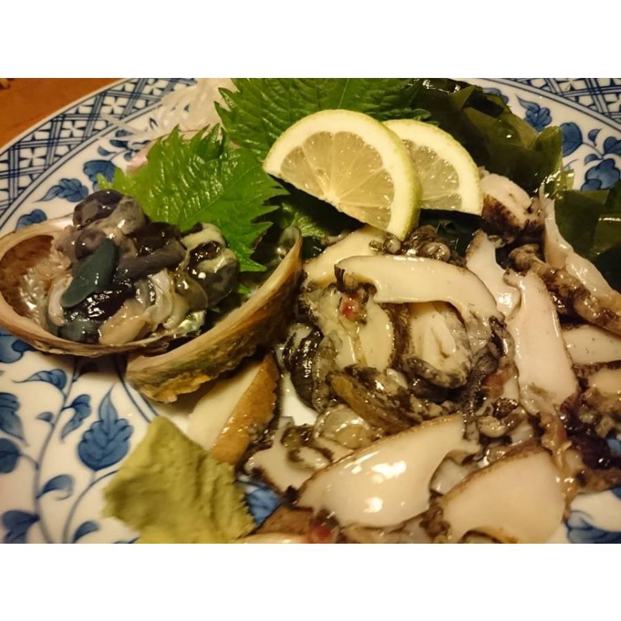 愛媛特産品・産地直送 宇和海産 活アワビ約4kg前後セット |  | 04
