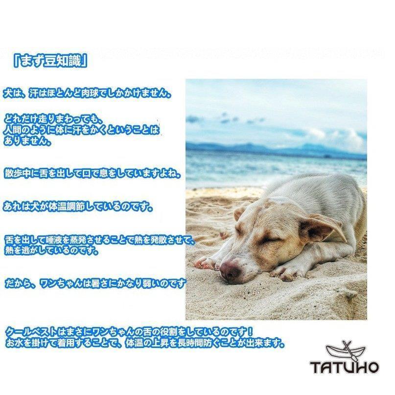早割クーポン 犬用 クールベスト 冷感 冷却 Coolベスト お散歩用 熱中症対策グッズ 程よい ひんやり感 涼しい S M Discoversvg Com