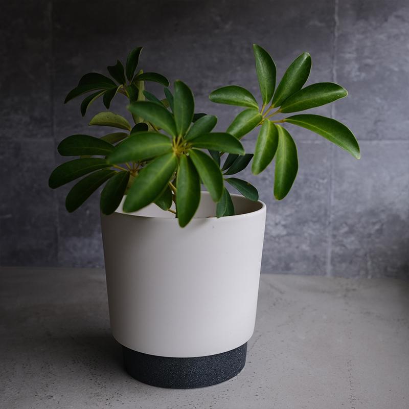 プランター 陶器 Sサイズ 受皿付き 日本製 植木鉢 底穴有 晋山窯ヤマツ