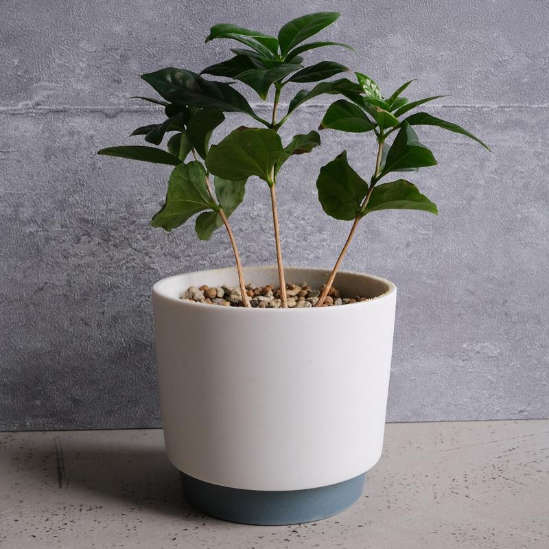 プランター 陶器 Sサイズ 受皿付き 日本製 植木鉢 底穴有 晋山窯ヤマツ