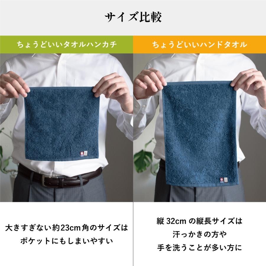 タオルハンカチ 今治 ブランド メンズ レディース ハンドタオル 今治タオル 手拭きタオル 紳士 22.5×23cm Tps-152  ギフト 新生活 | 今治タオル | 19