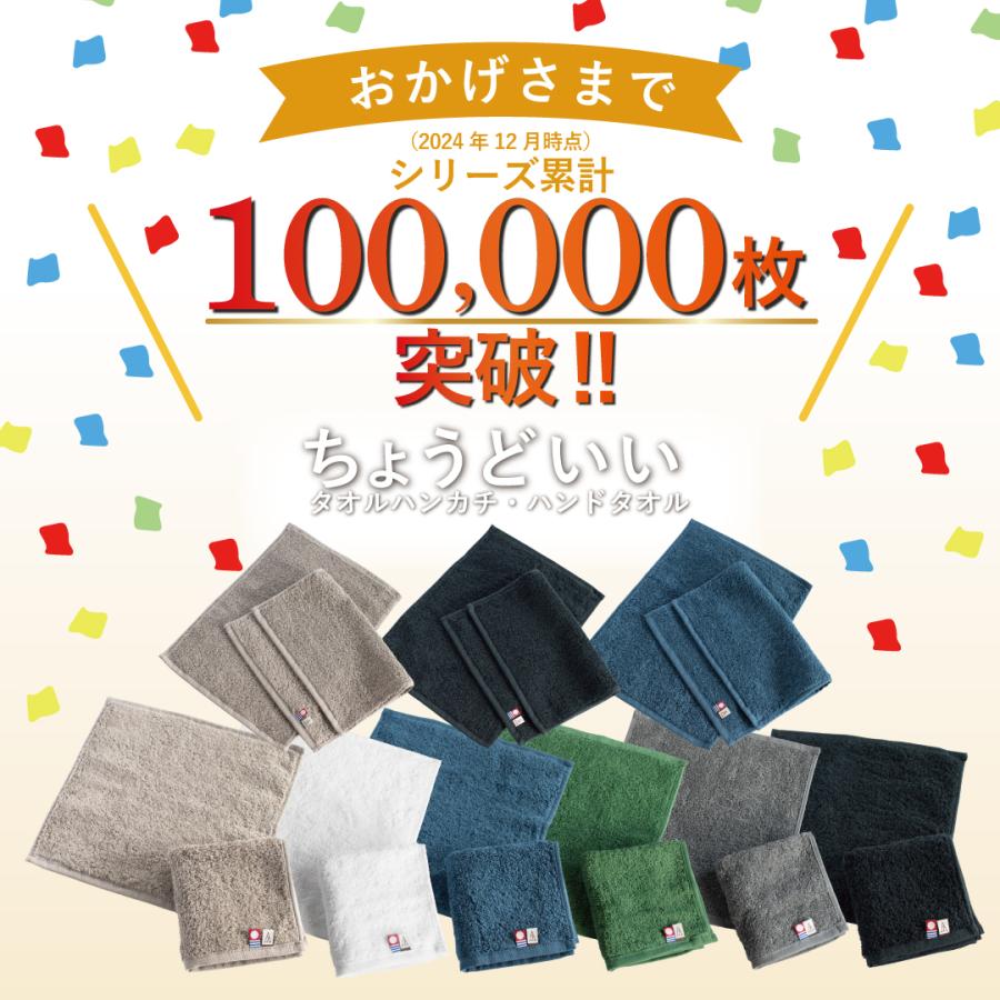 タオルハンカチ 今治 ブランド メンズ レディース ハンドタオル 今治タオル 手拭きタオル 紳士 22.5×23cm Tps-152  ギフト 新生活 | 今治タオル | 07