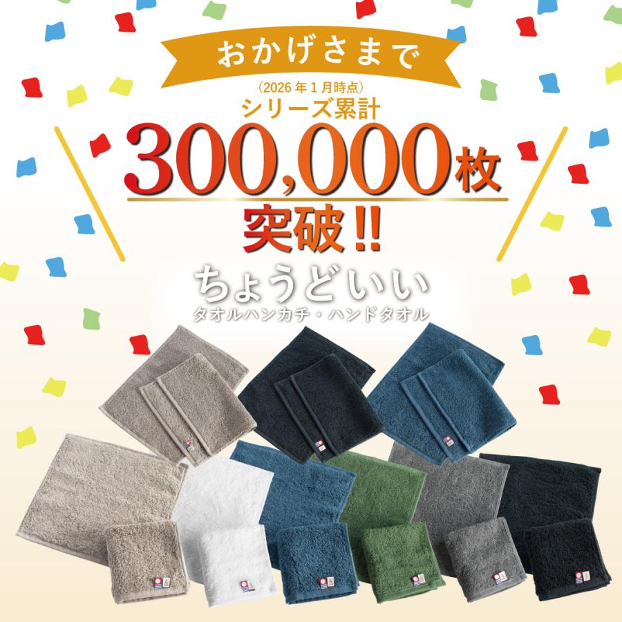 今治タオル（imabari towel） ハンドタオル 3枚セット タオルハンカチ