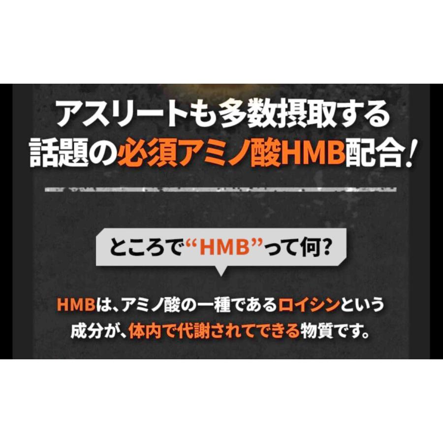 ファイラ マッスルサプリhmb 1粒 プロテイン 筋肉 aa 送料無料 美と健康のタヴォラ 通販 Yahoo ショッピング