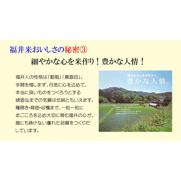コシヒカリ 新米 令和8年産 米 10kg 福井県産 お米 10キロ 玄米 白米 7