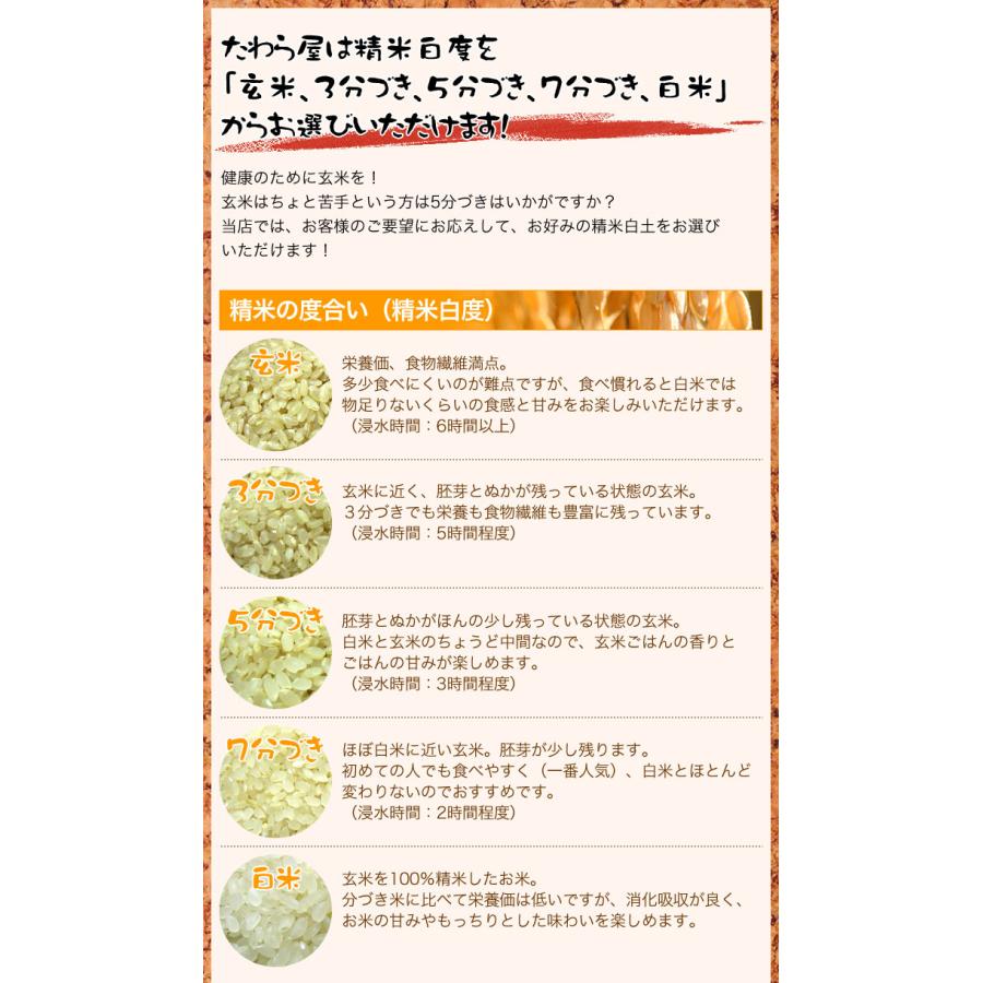 コシヒカリ 新米 令和8年産 米 10kg 福井県産 お米 10キロ 玄米 白米 7