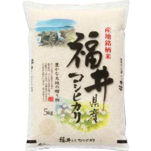 コシヒカリ 米 5kg 福井県産 お米 5キロ 令和6年産 玄米 白米 7 コシヒカリ 米 5kg 福井県産 お米 5キロ 令和6年産 玄米 白米 7