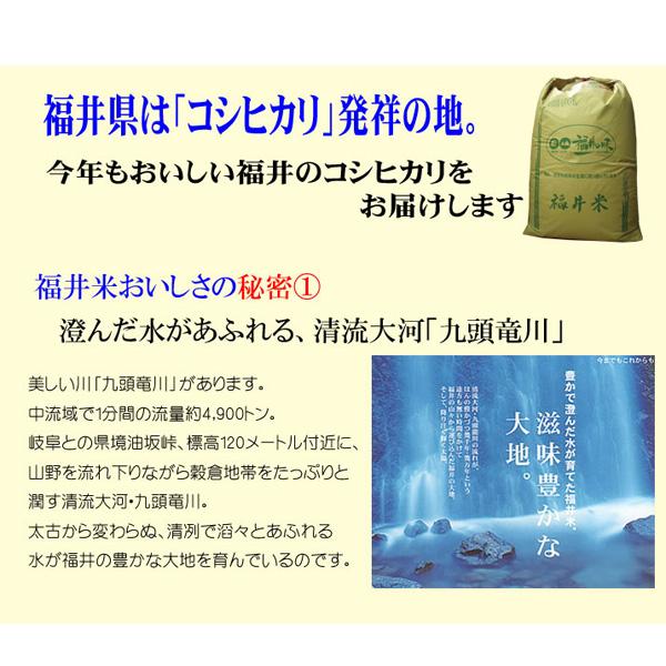 コシヒカリ 米 5kg 福井県産 お米 5キロ 令和6年産 玄米 白米 7 コシヒカリ 米 5kg 福井県産 お米 5キロ 令和6年産 玄米 白米 7