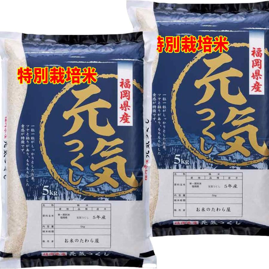 令和4年産 特A米 特別栽培米 福岡県産 元気つくし 10kg (5kg×2袋) 送料無料 玄米 白米 7分づき 5分づき 3分づき つきたて