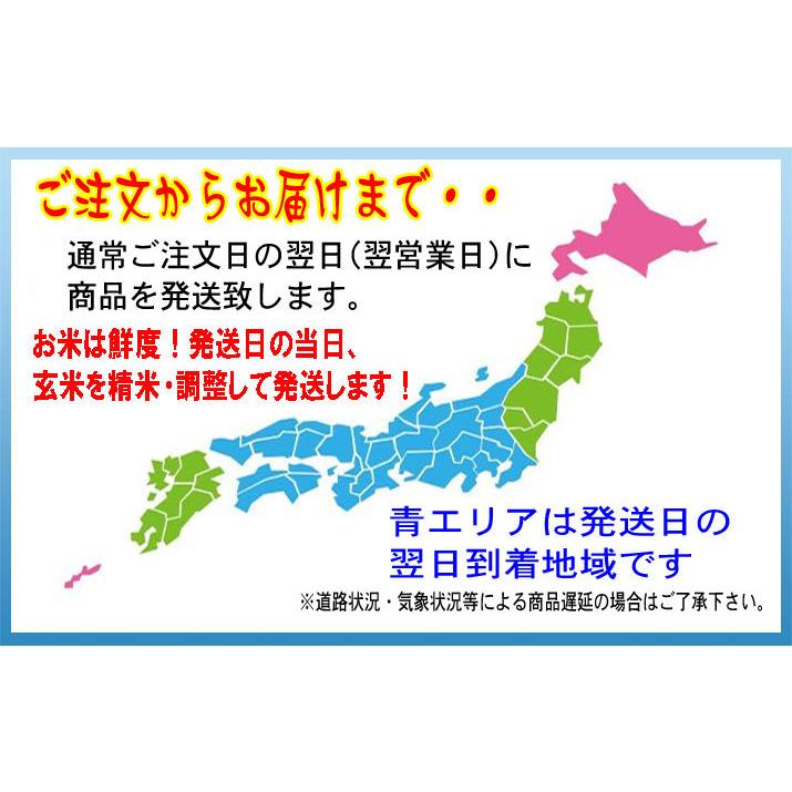 米 4kg (2kg×2袋) 銀河のしずく 岩手県産 お米 4キロ 令和5年産 精白米 白米 ご注文後に精米 送料無料｜tawaraya-kome｜02