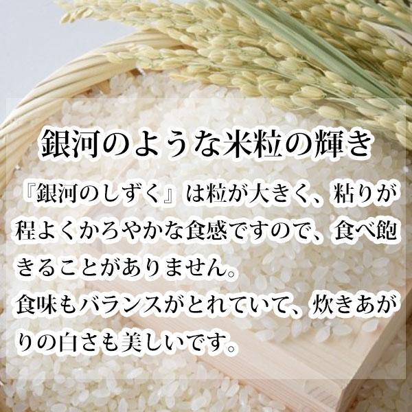 日本の銘米 米 10kg 特別栽培米 銀河のしずく 特A 岩手県産 お 日本の銘米 米 10kg 特別栽培米 銀河のしずく 特A 岩手県産 お