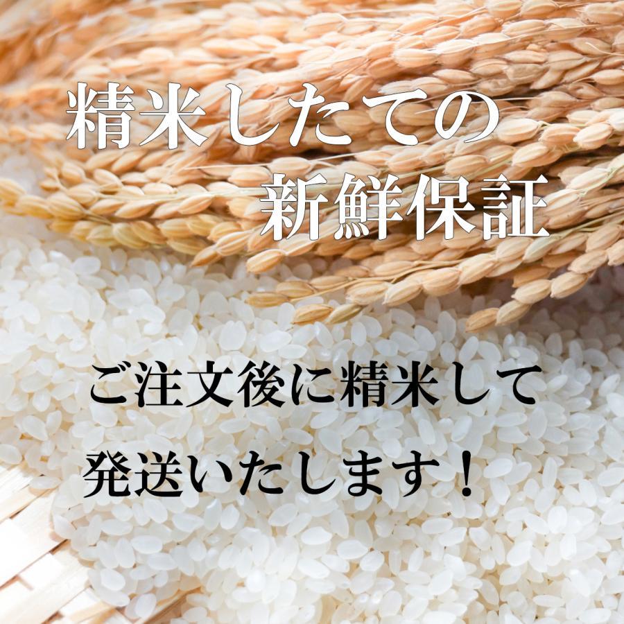 米 10kg 篠山コシヒカリ 兵庫県 丹波篠山産 お米 10キロ 令和5年産 玄米 白米 7分づき 5分づき 3分づき オーダー精米 ご注文後に精米｜tawaraya-kome｜07