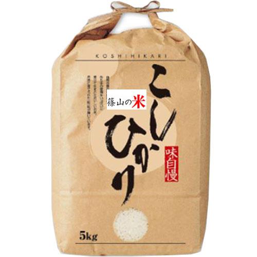 コシヒカリ 米 5kg 篠山コシヒカリ 兵庫県 丹波篠山産 お米 5 コシヒカリ 米 5kg 篠山コシヒカリ 兵庫県 丹波篠山産 お米 5