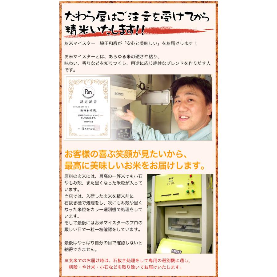 コシヒカリ 米 5kg 篠山コシヒカリ 兵庫県 丹波篠山産 お米 5 コシヒカリ 米 5kg 篠山コシヒカリ 兵庫県 丹波篠山産 お米 5