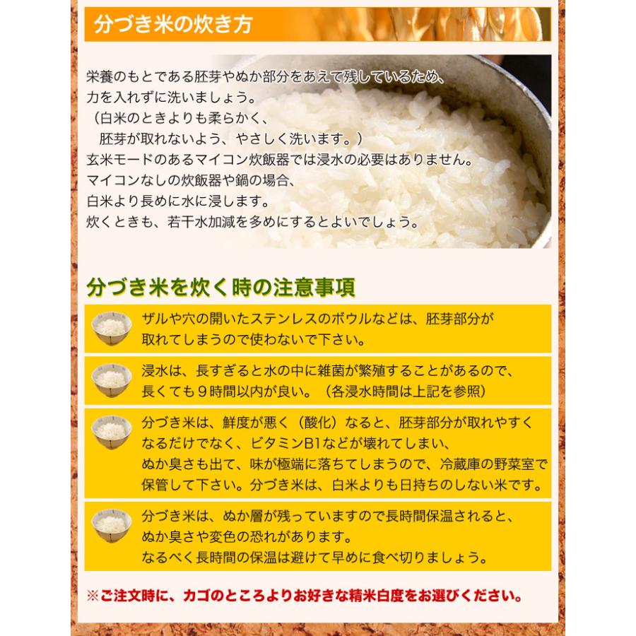 コシヒカリ 米 5kg 篠山コシヒカリ 兵庫県 丹波篠山産 お米 5 コシヒカリ 米 5kg 篠山コシヒカリ 兵庫県 丹波篠山産 お米 5