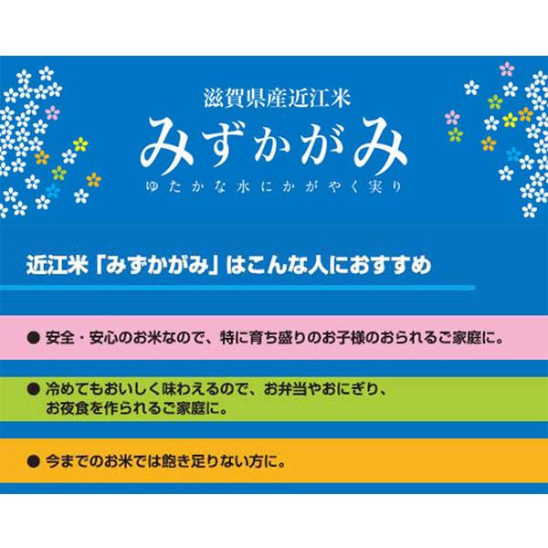 米 10kg 特別栽培米 みずかがみ 特A米 滋賀県産 近江米 お米 10キロ 令和5年産 玄米 白米 7分づき 5分づき 3分づき オーダー精米 ご注文後に精米 5kg×2袋｜tawaraya-kome｜10