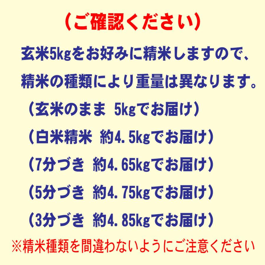 ゆめぴりか 米 5kg 北海道 お米 5キロ 令和7年産 玄米 白米 7分づき 5