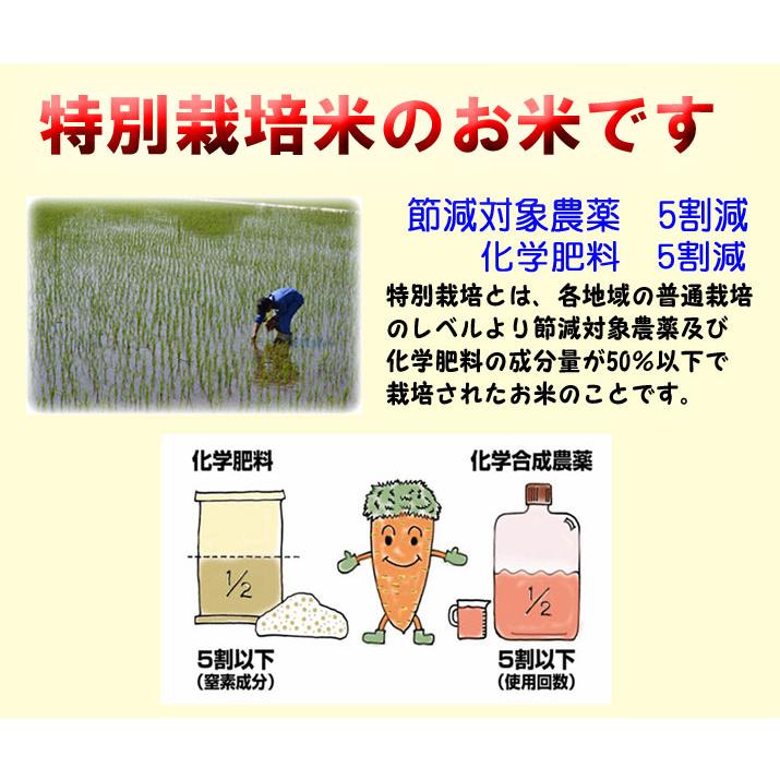 米 10kg 特別栽培米 新之助 しんのすけ 新潟県産 お米 10キロ 令和5年産 玄米 白米 7分づき 5分づき 3分づき オーダー精米 ご注文後に精米 5kg×2袋 送料無料｜tawaraya-kome｜04