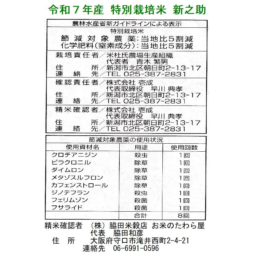 新之助（しんのすけ） 米 10kg 特別栽培米 新潟県産 お米 10キロ 令和7