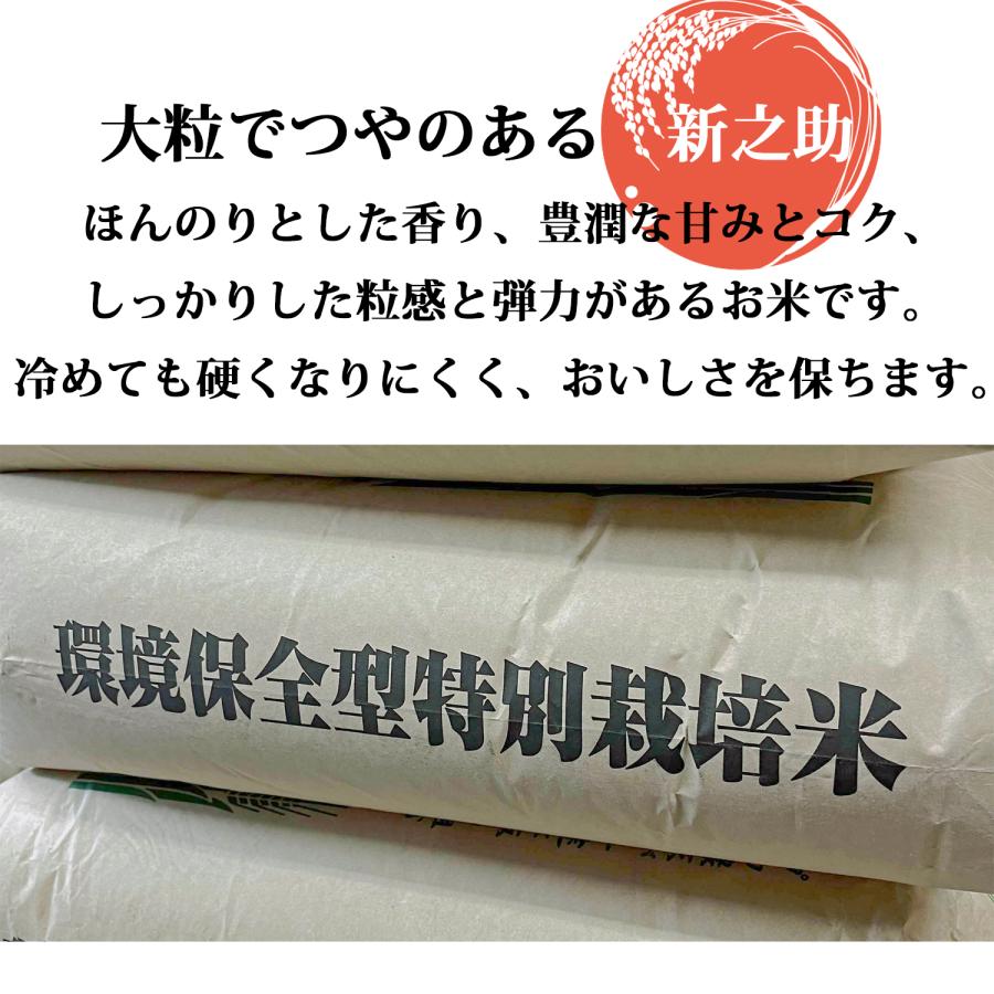 シルキー。新潟県産新之助。10キロ精米。 令和7年産 新潟県産 新之助 10kg（2kg×5袋）新鮮密封 窒素充填包装