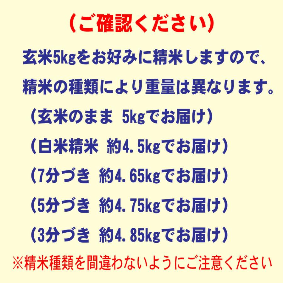 米 5kg 特別栽培米 新之助 しんのすけ 新潟県産 お米 5キロ 令和5年産 玄米 白米 7分づき 5分づき 3分づき オーダー精米 ご注文後に精米 送料無料｜tawaraya-kome｜03