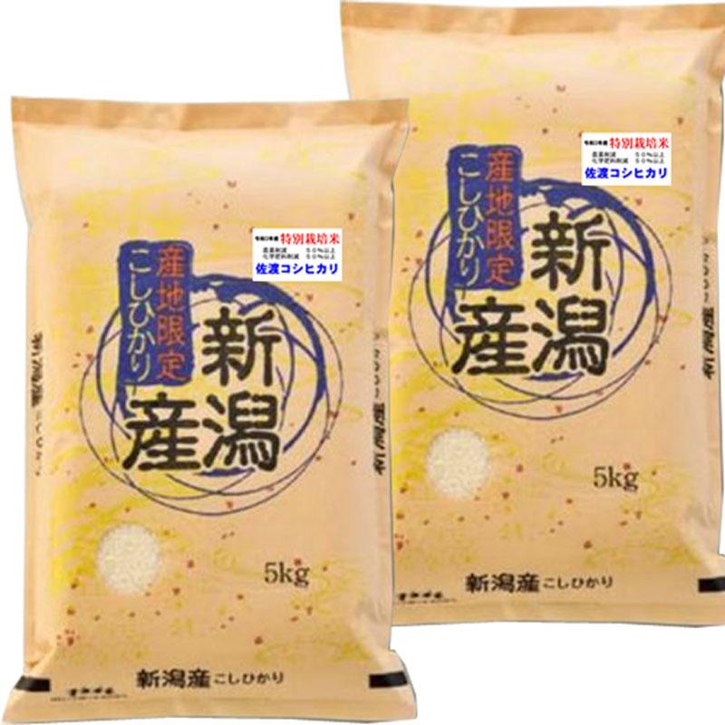特別栽培米】【コシヒカリ】玄米10kg（白米約9kg）令和6年新潟県産