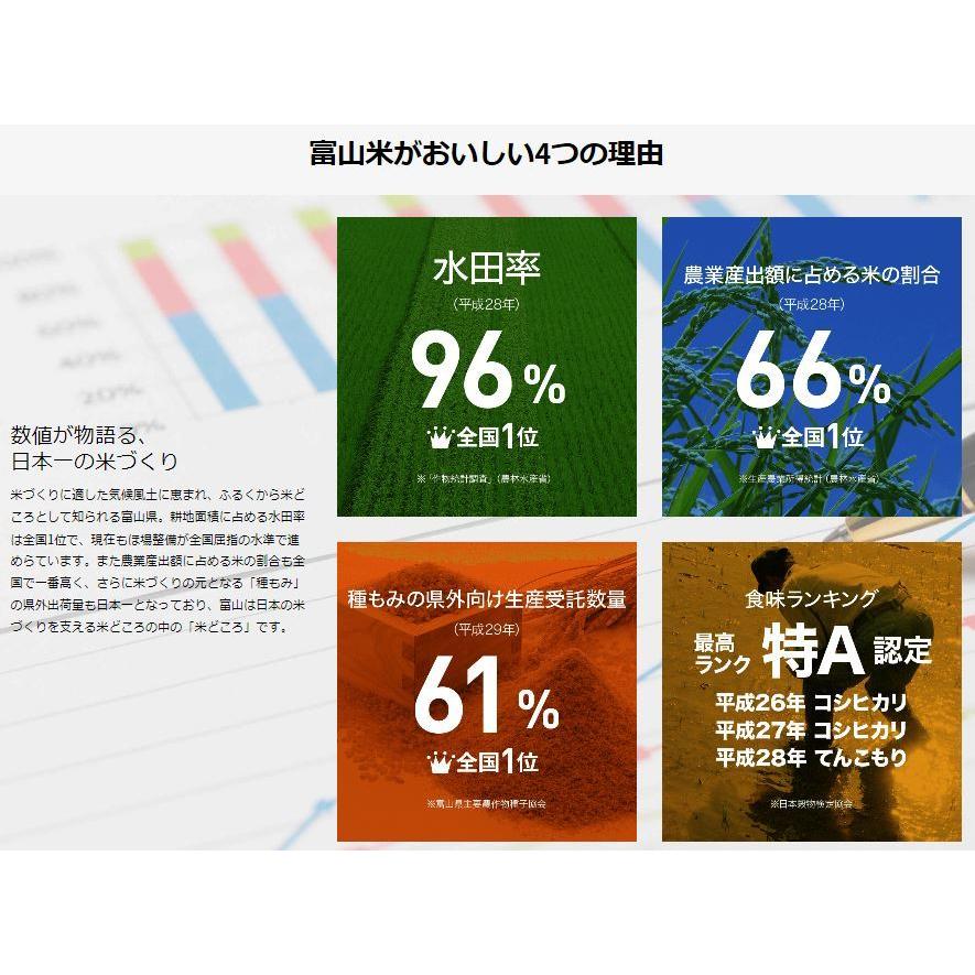 コシヒカリ 米 10kg 富山県産 入善町指定米 お米 10キロ 令和6 コシヒカリ 米 10kg 富山県産 入善町指定米 お米 10キロ 令和6