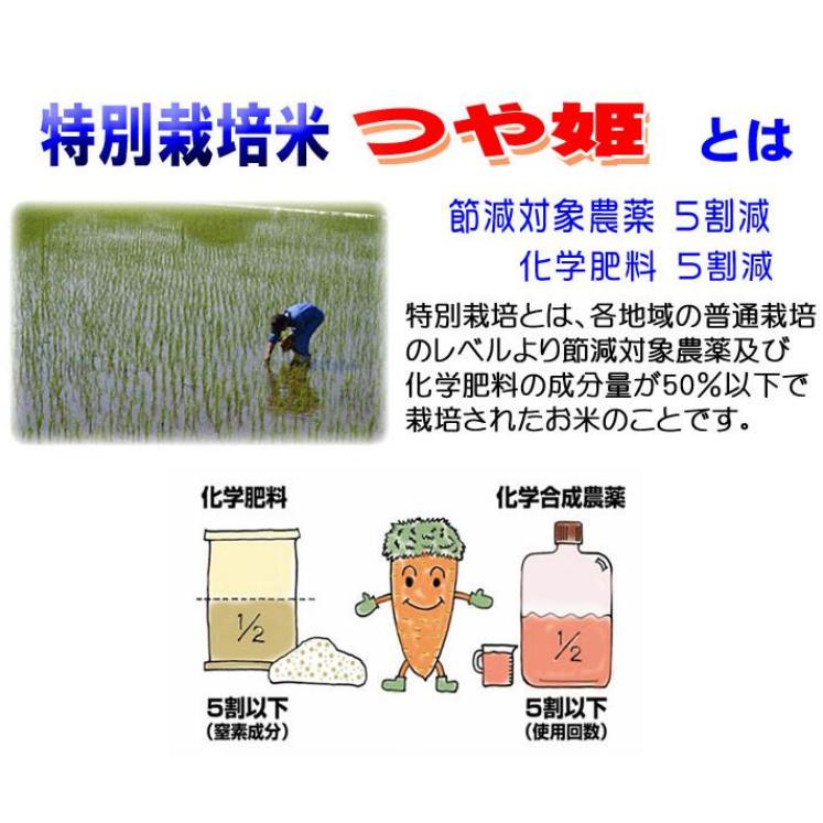 おいしい新米 つやつや　有機質肥料 米5キロ×4 計20kg つや姫 米 5kg 特別栽培米 山形県産 おきたま農協指定 お米 5キロ 令和