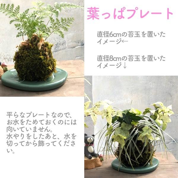 葉っぱのプレート 苔玉サイズ8cm程度まで 苔玉の受け皿に 36 08gr 苔玉とミニ盆栽の店 多輪和 通販 Yahoo ショッピング