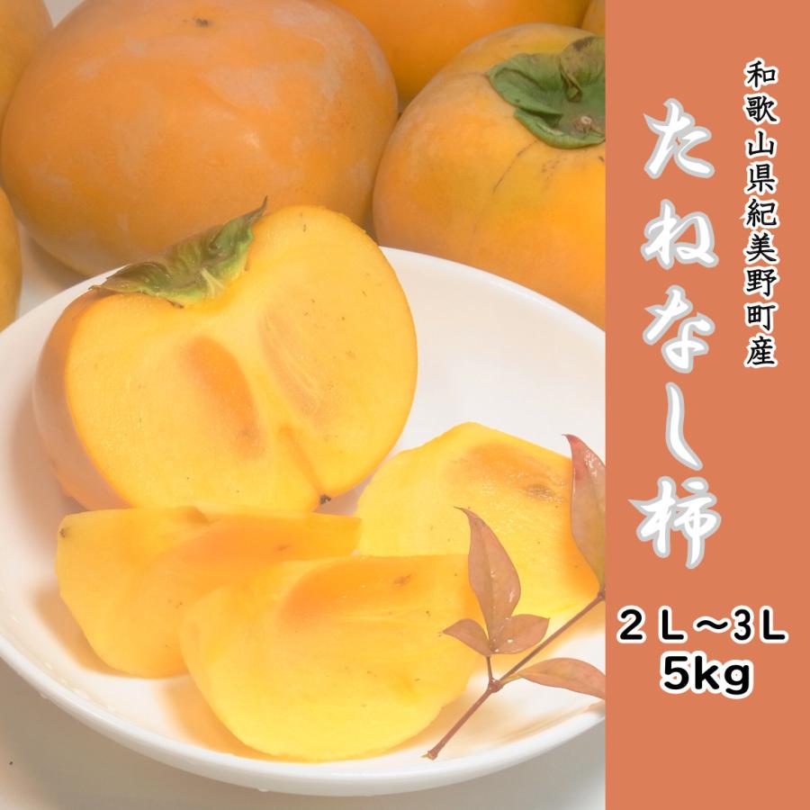 和歌山県紀美野町産 刀根早生 たねなし柿 2l 3lサイズ5キロ18個入り 先行受付 Tonewase たわわ商店 通販 Yahoo ショッピング