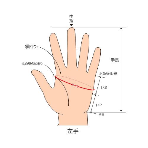 STSG20100270-STSG20100300(S-LL)※Lサイズ完売【スバル純正】STI