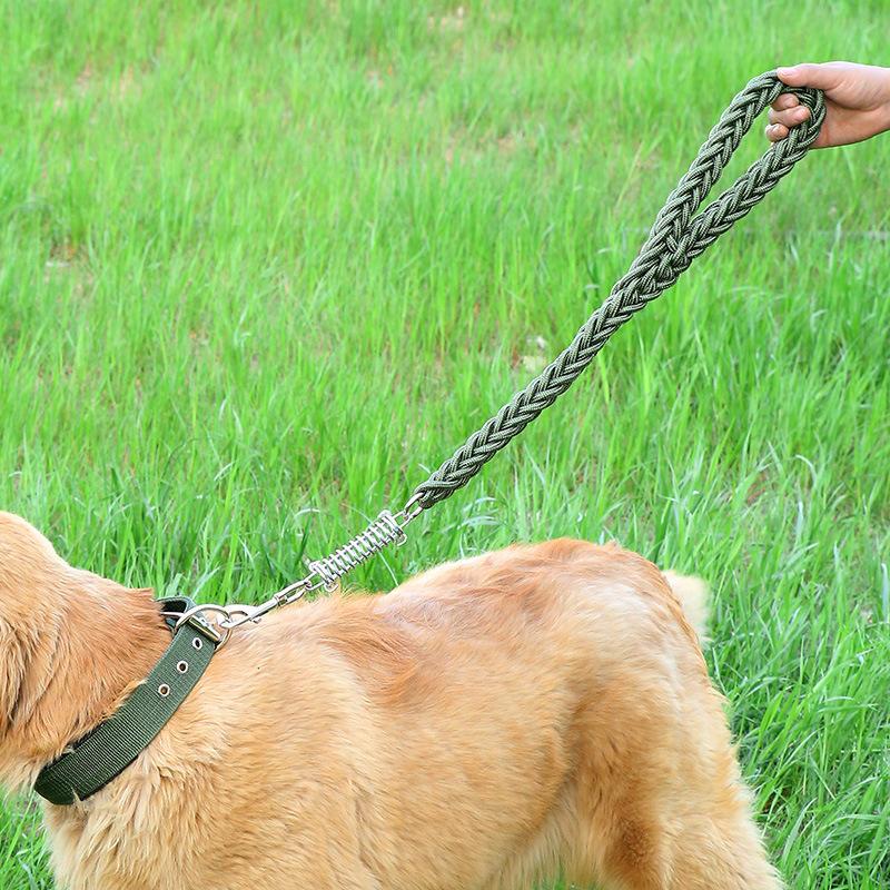 最大86 Offクーポン ショートリード 大型犬リード 中型犬リード 犬リード Whitesforracialequity Org