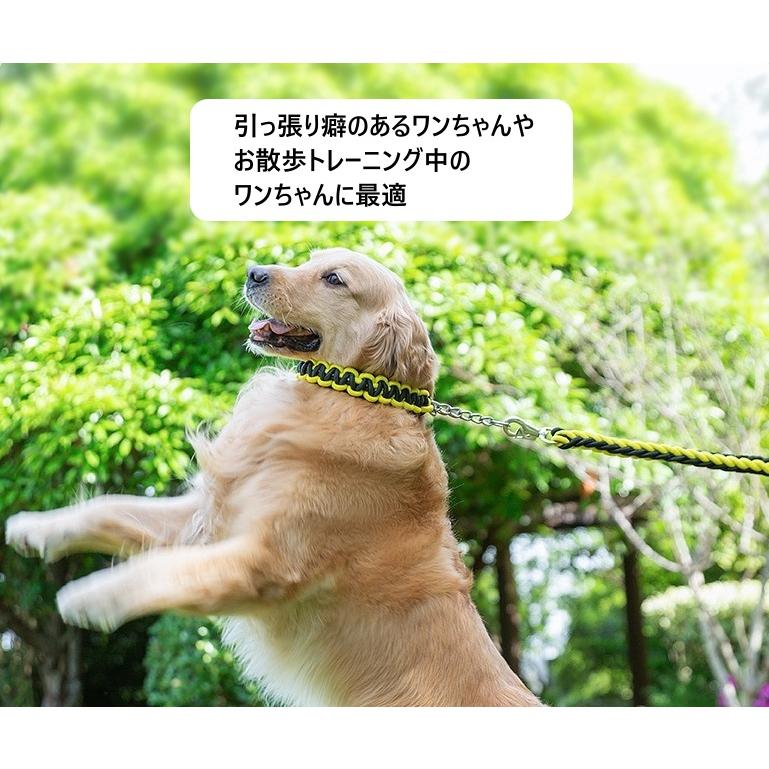 犬 リード 首輪 セット 大型犬 中型犬 しつけ 極太 太め 8本ロープ
