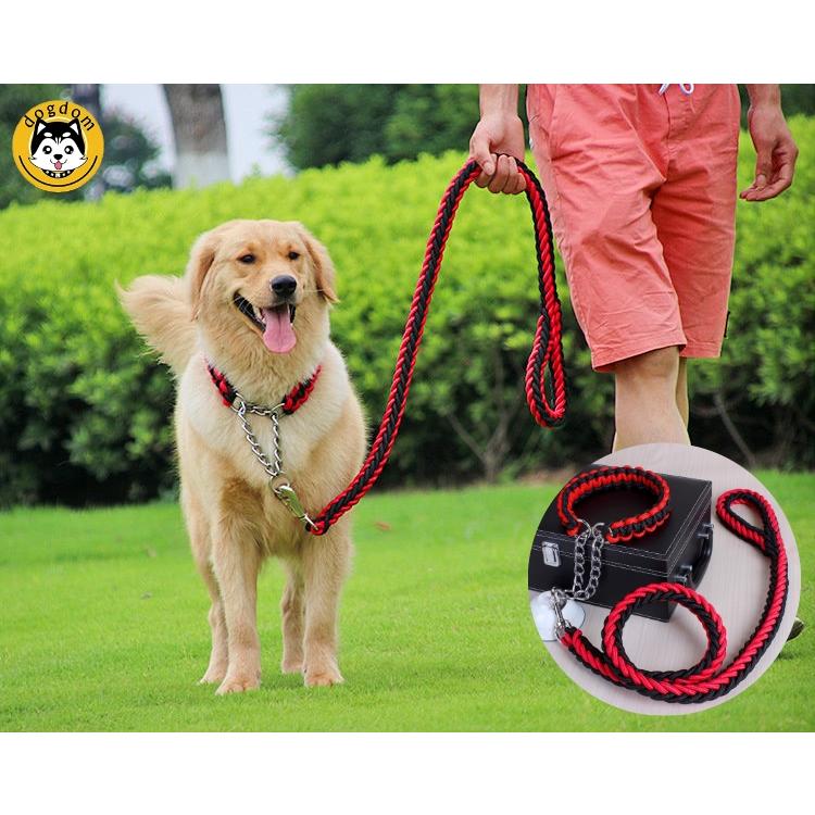 犬 リード 首輪 セット 大型犬 中型犬 しつけ 極太 太め 8本ロープ