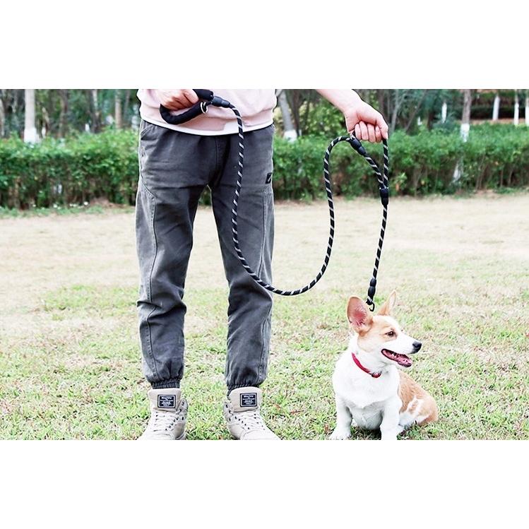 犬 リード 犬用 ダブルハンドル しつけ犬リード 持ち手2個 中型犬 大型