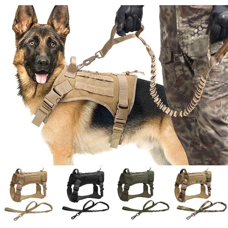 犬用 リード ハーネス2点SET犬用 リード＆ハーネス2点SET❣️