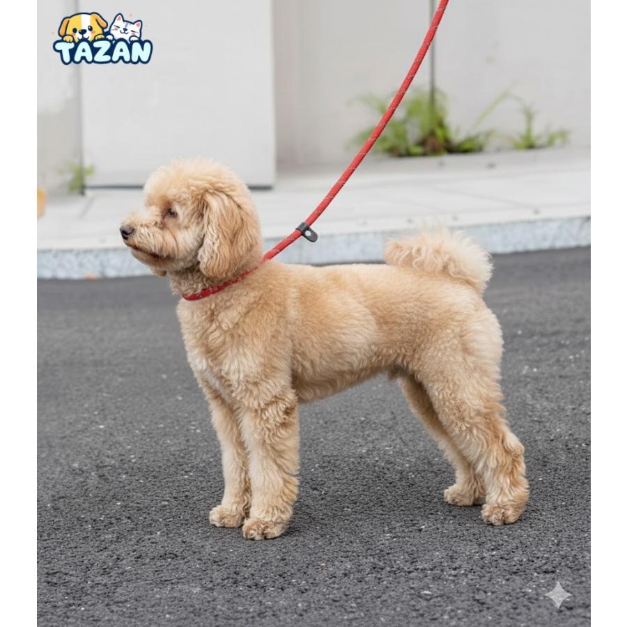 犬 リード 首輪一体型 スリップリード チョーカー しつけ用リード 犬用