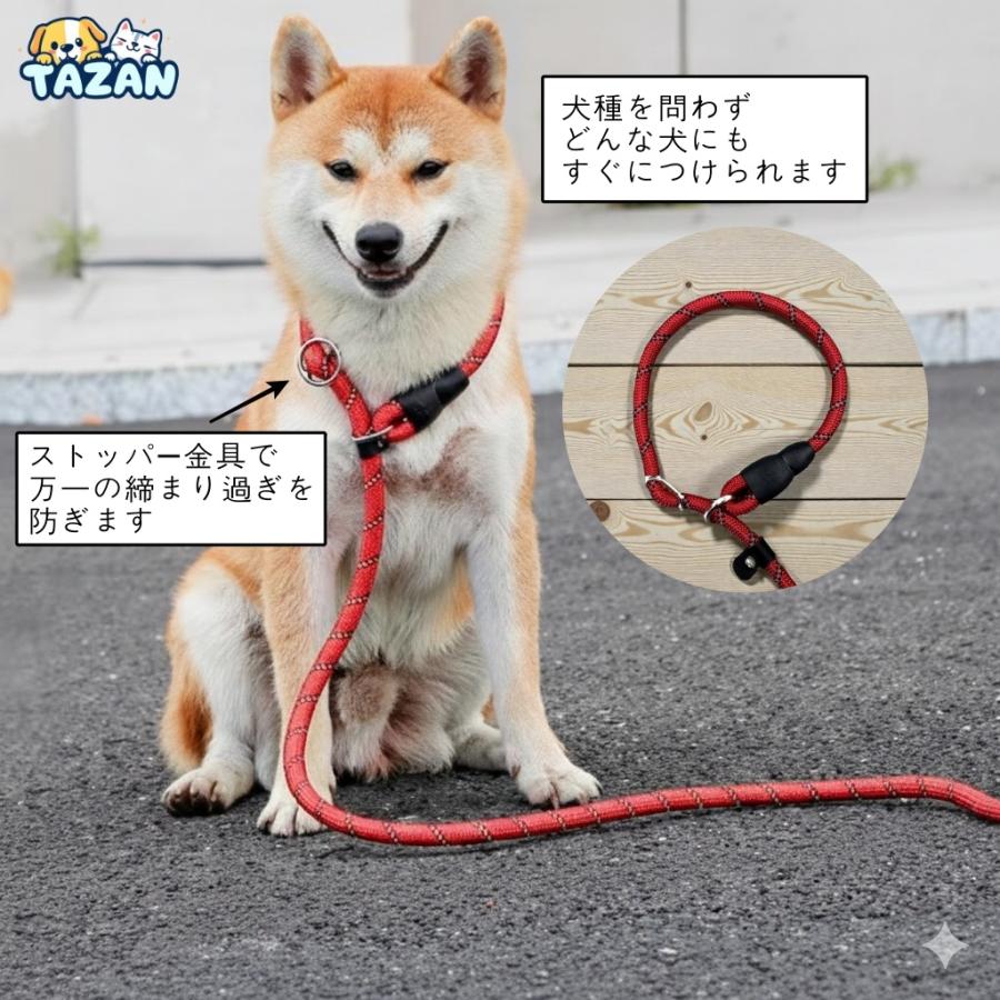 犬 リード 首輪一体型 スリップリード チョーカー しつけ用リード 犬用