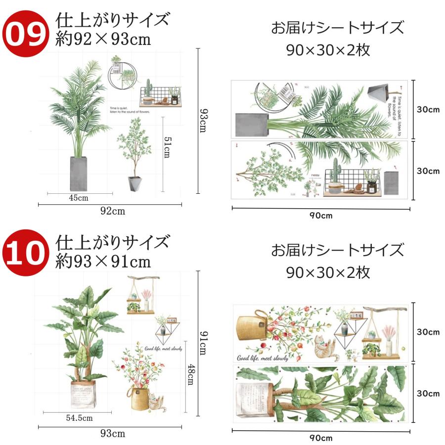 ウォールステッカー 観葉植物 鳥 木 海 花 盆栽 植物 猫 窓 北欧 コスモス 秋 夏 春 子供の部屋 トイレ リビング 寝室 モンステラ 壁シール 壁紙 壁ステッカー｜tazan｜09